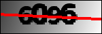 Text der identifiziert werden soll