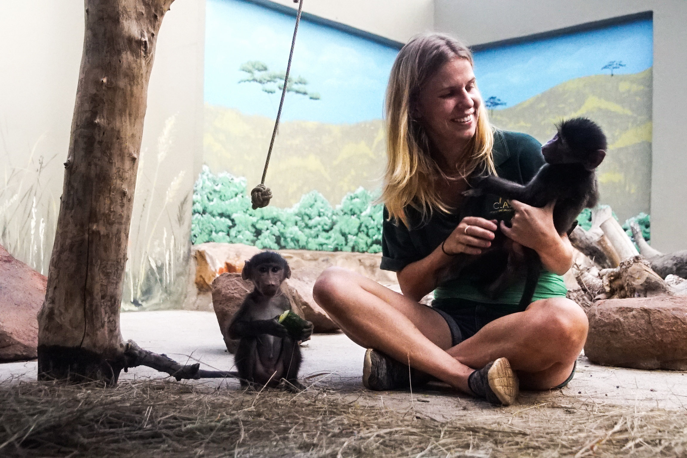 DOK Sonntag: Aufzucht in der Wildnis (1/7) Tierpflegerin Hannah mit zwei Pavian-Babys