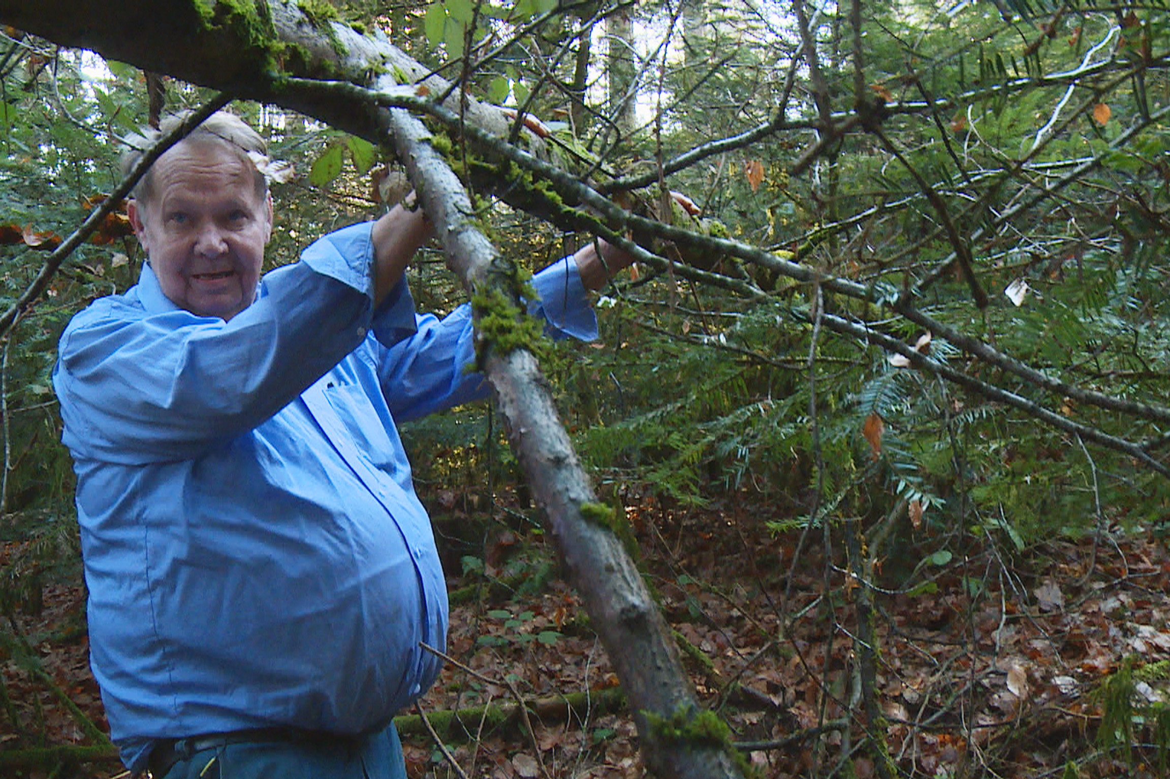 Reporter: Opfer eines StaatesRolf Horst Seiler gehört zu den 60'000 Menschen, die in der Schweiz administrativ versorgt wurden. Auf der Flucht vor den Behörden versteckte er sich 40 Jahre lang im Wald.Copyright: SRF