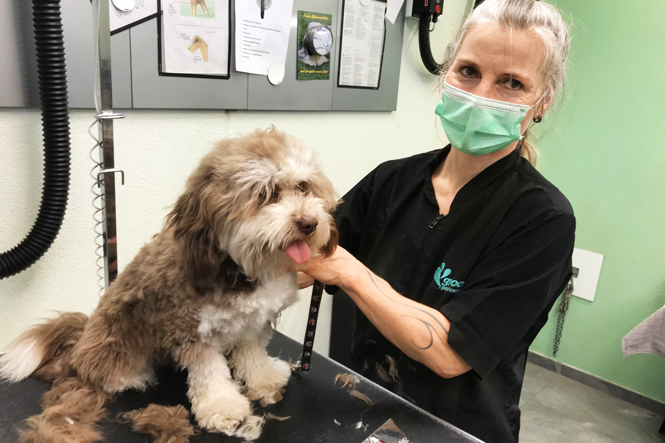 Slow-TV - Hundesalon Geschäftsinhaberin Claudia Dubacher 2021