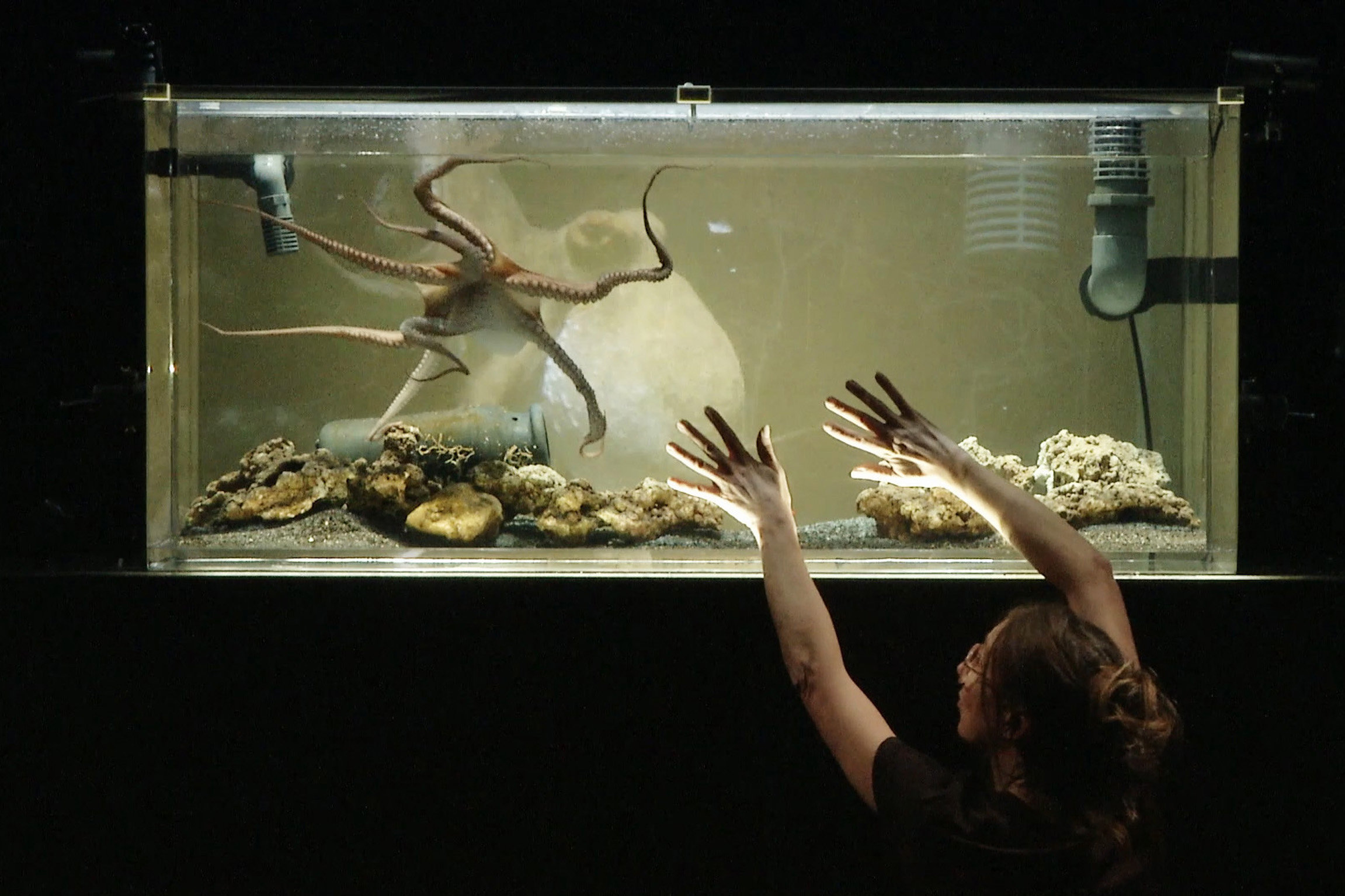 Reporter Nathalie und der Oktopus Theateraufführung