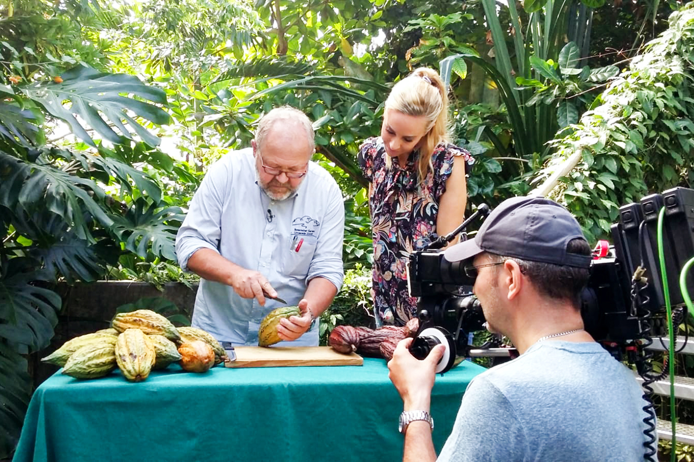 Was kostet die Schweiz? Folge 1 - Schokolade Im botanischen Garten der Universität Zürich zeigt ein Mitarbeiter Nicole Berchtold, wie die Kakaofrüchte aussehen und schmecken.