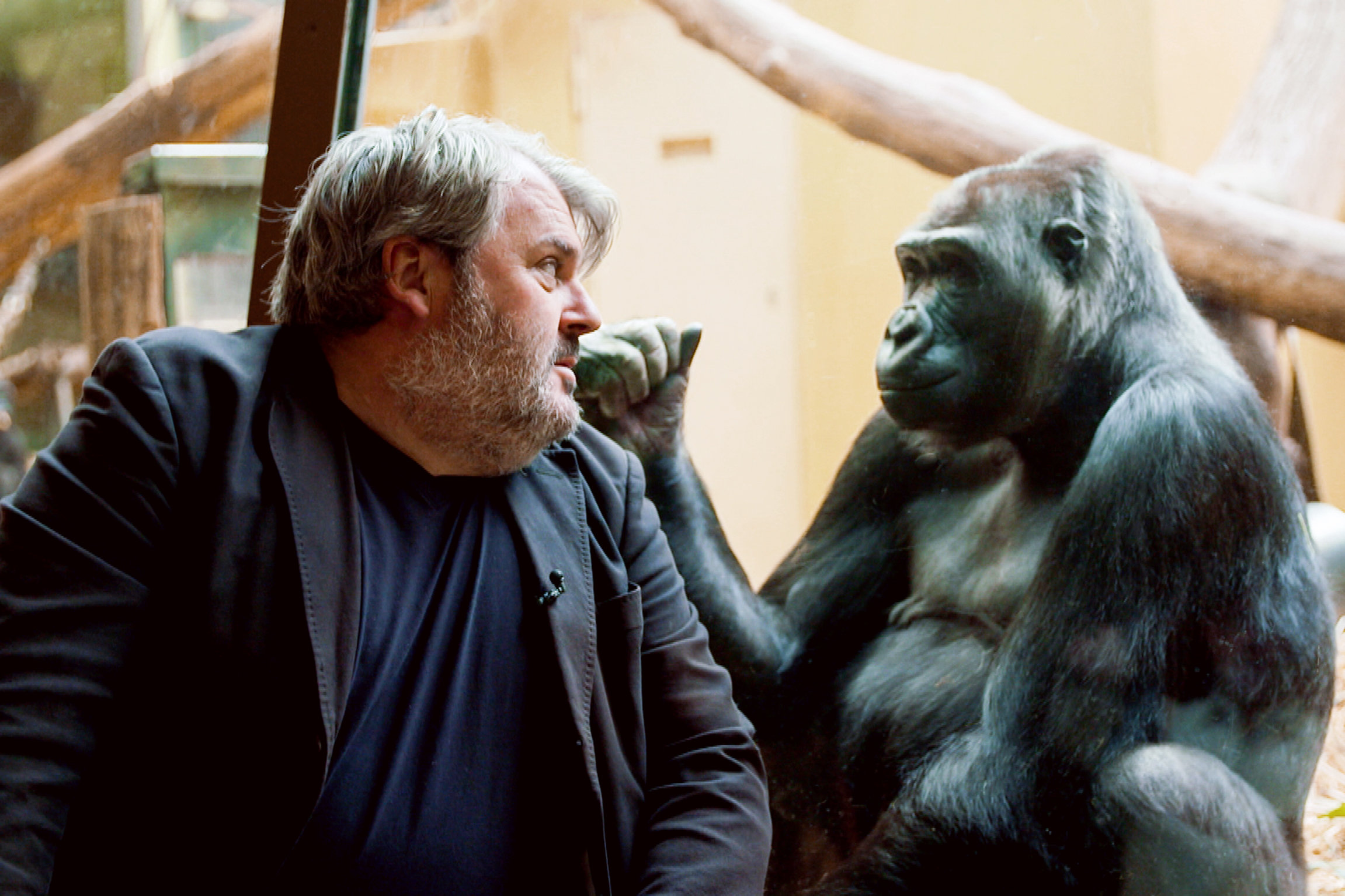 Kulturplatz extra Giacobbo/Müller im Zoo Mike Müller im Affenhaus.
