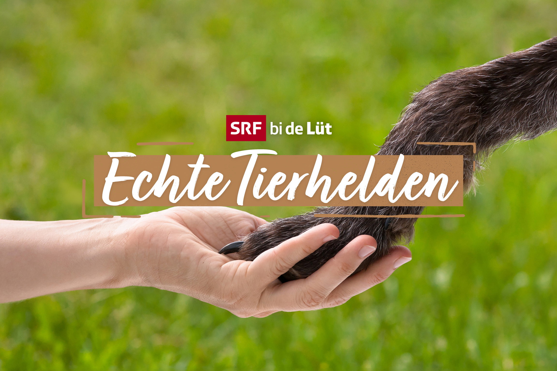 SRF bi de Lüt –  Echte TierheldenKeyvisual2021Copyright: SRF