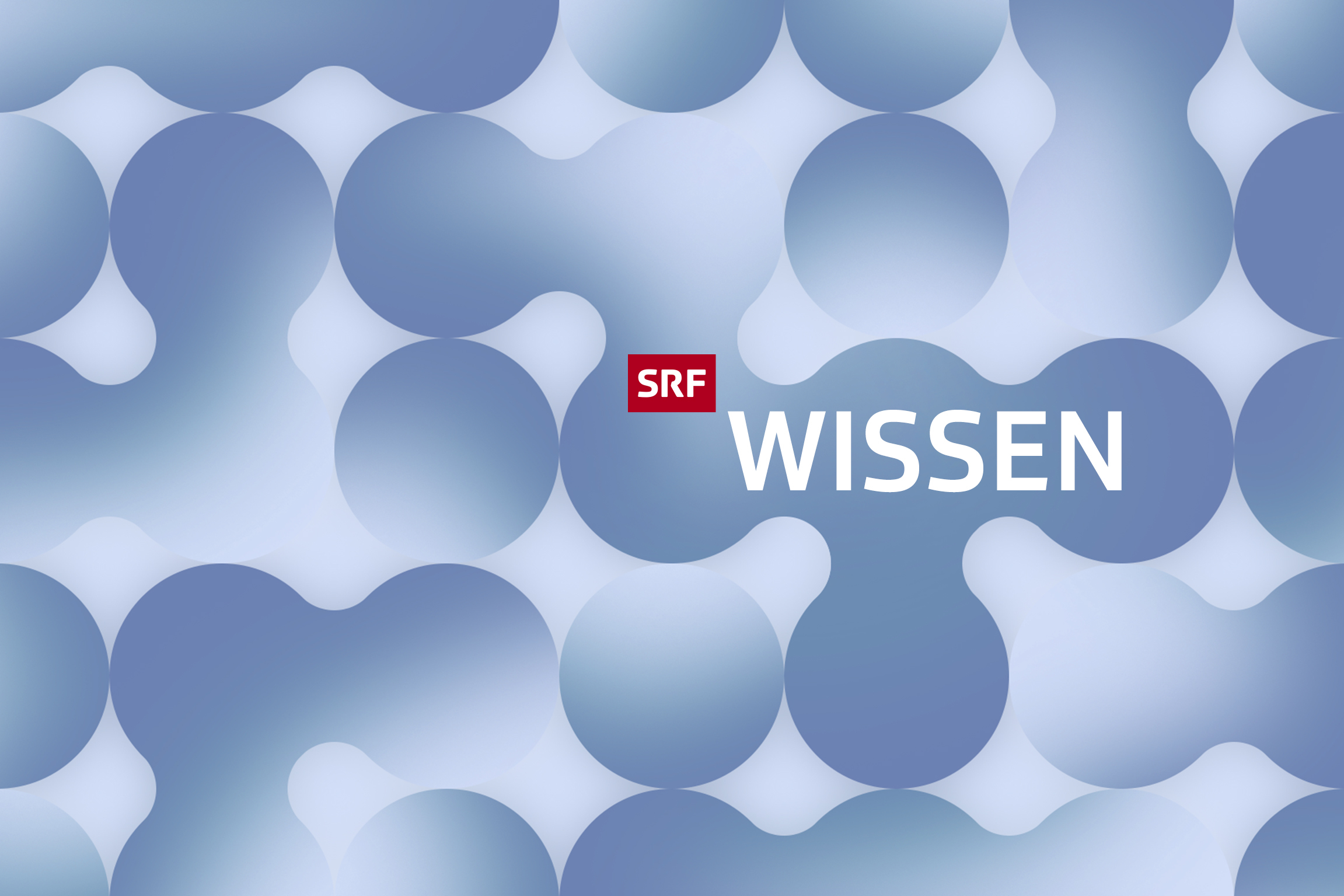 SRF Wissen Keyvisual 2021