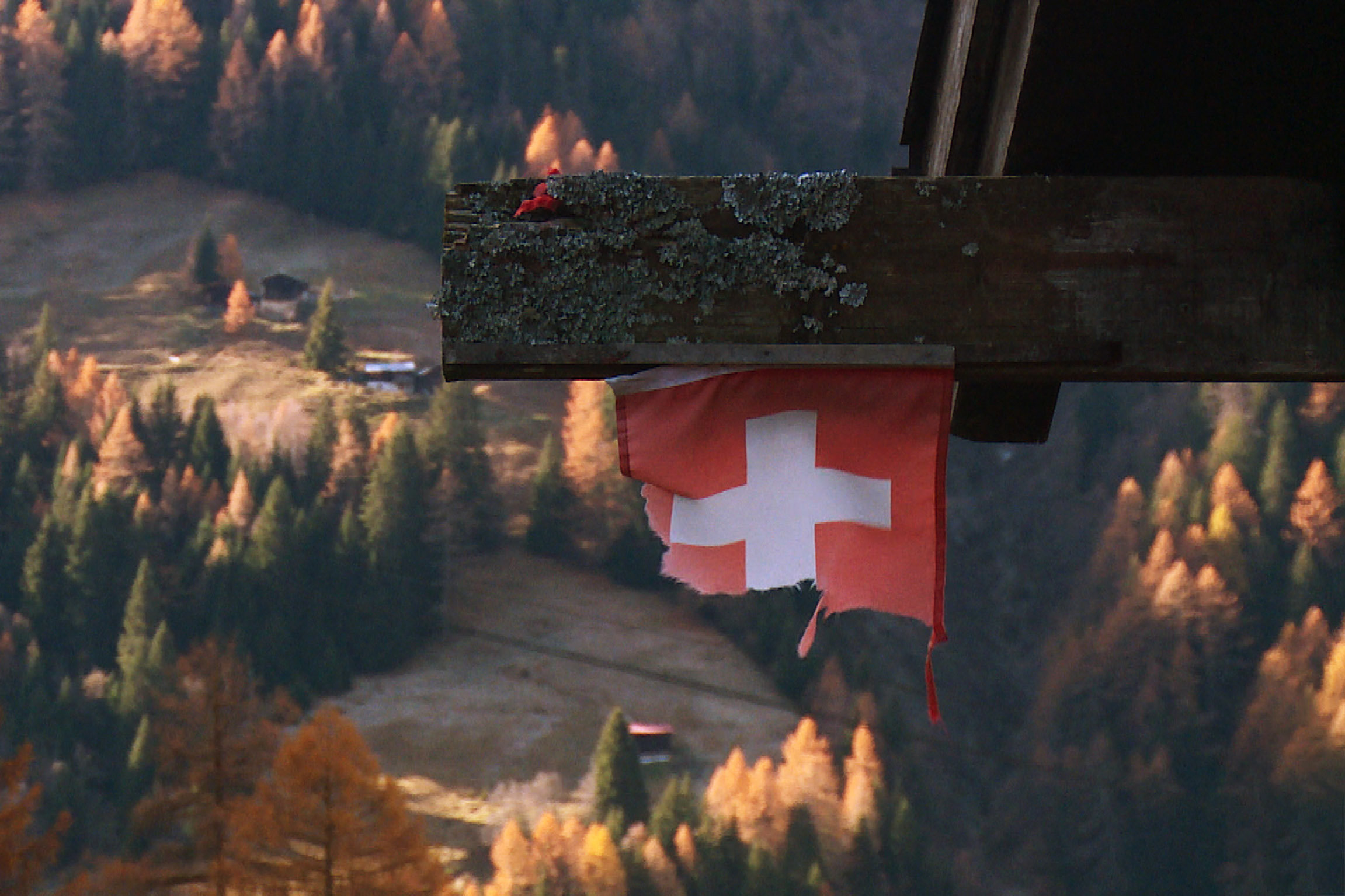 Reporter Der Stadt-Land-Graben - Einmal quer durch die Schweiz Schweizer Fahne an einem Stall im Binntal, Oberwallis