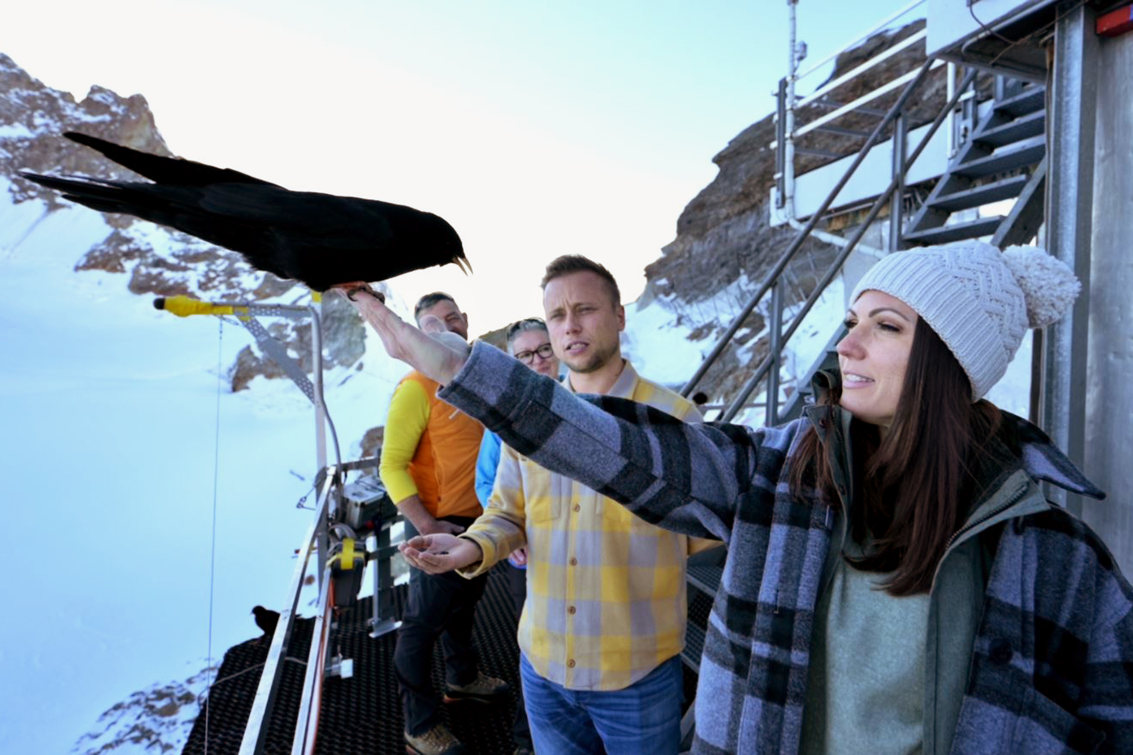 Ding Dong – Zeig mir dein Zuhause Auf dem Jungfraujoch und bei den Nonnen Viola Tami und Jan Fitze bei der Dohlenfütterung auf dem Jungfraujoch 2022