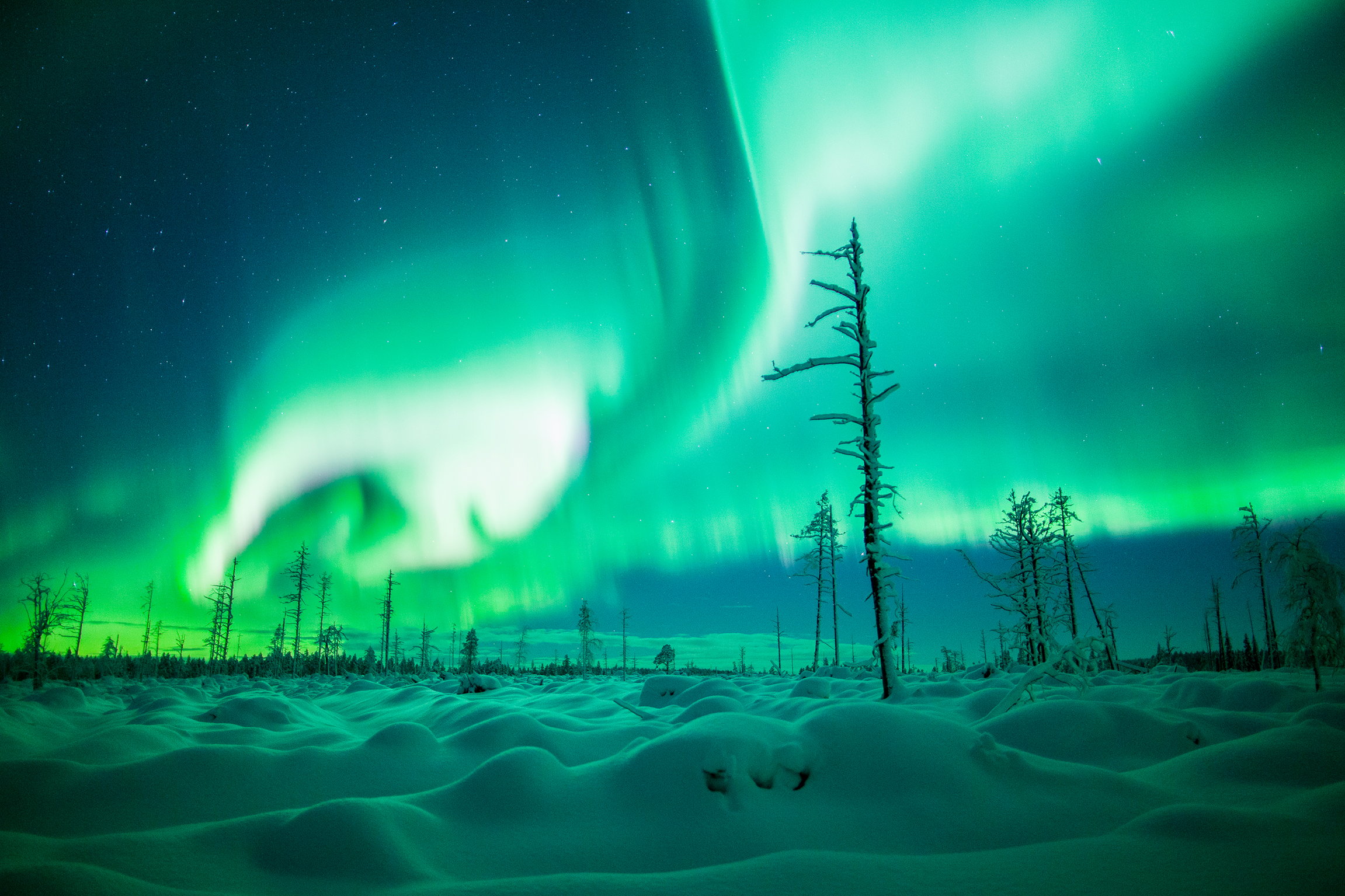 Einstein Magische Polarlichter – Warum sie auch gefährlich sind Polarlichter Copyright: SRF