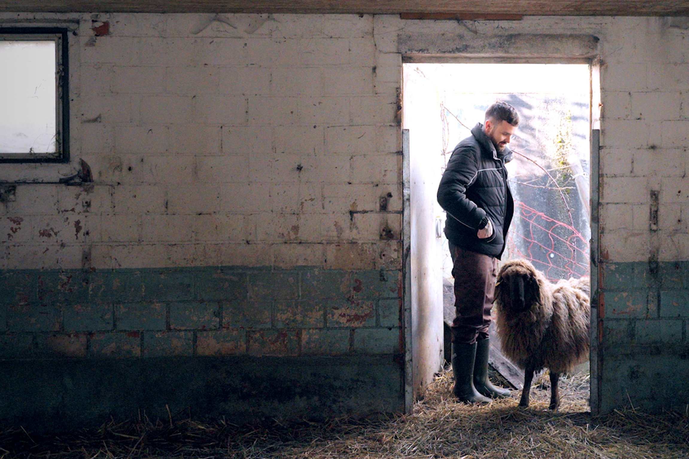 ImpactDepression und Burnout in der Landwirtschaft – Warum sind Bauern besonders betroffen?Bauern und Bäuerinnen sind doppelt so oft von Burnout und Depressionen betroffen als der Rest der Bevölkerung. Copyright: SRF