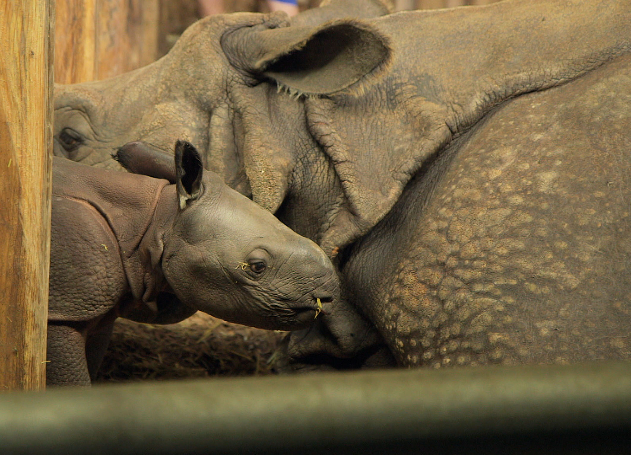 Wir-und-der-Zoo_04.jpg