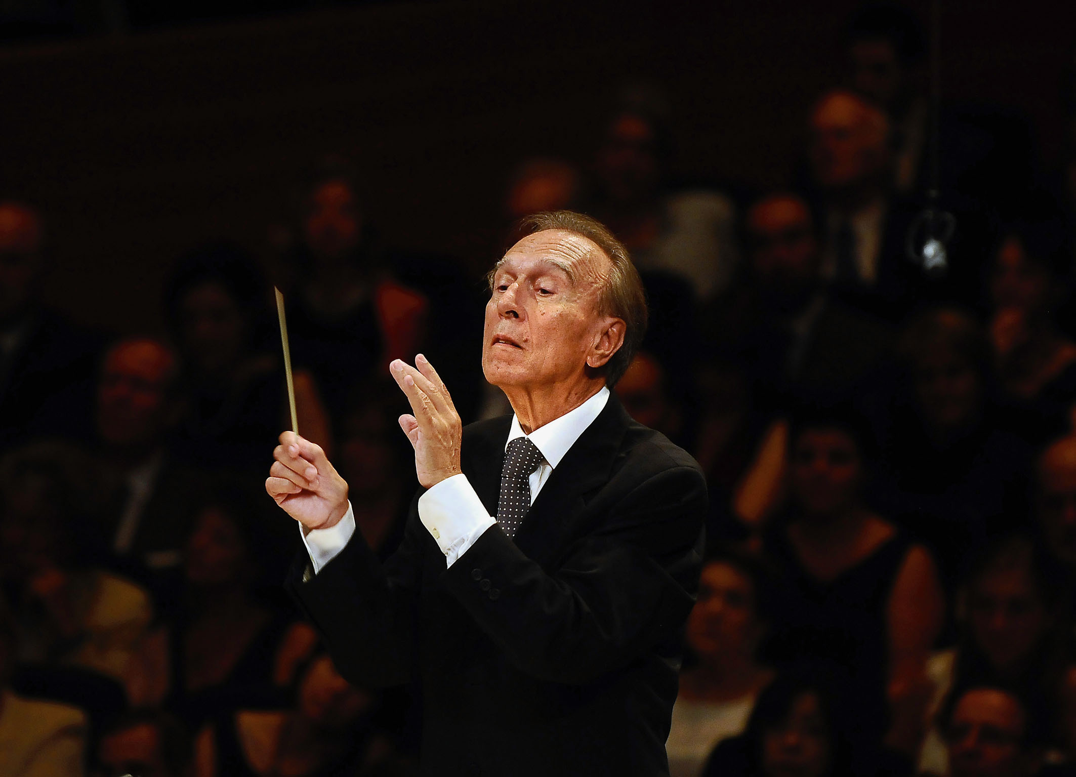 abbado2.jpg