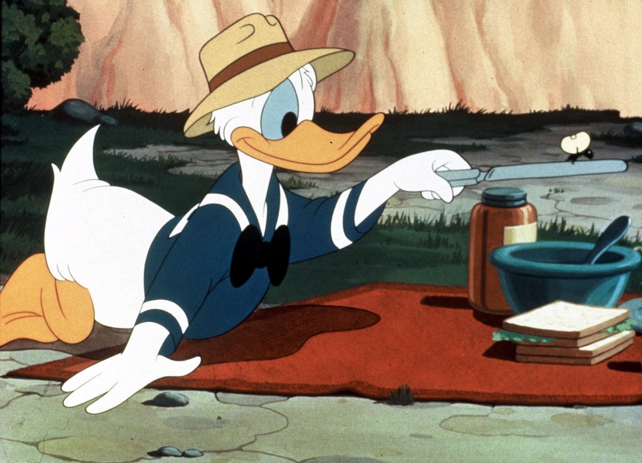 donald.jpg