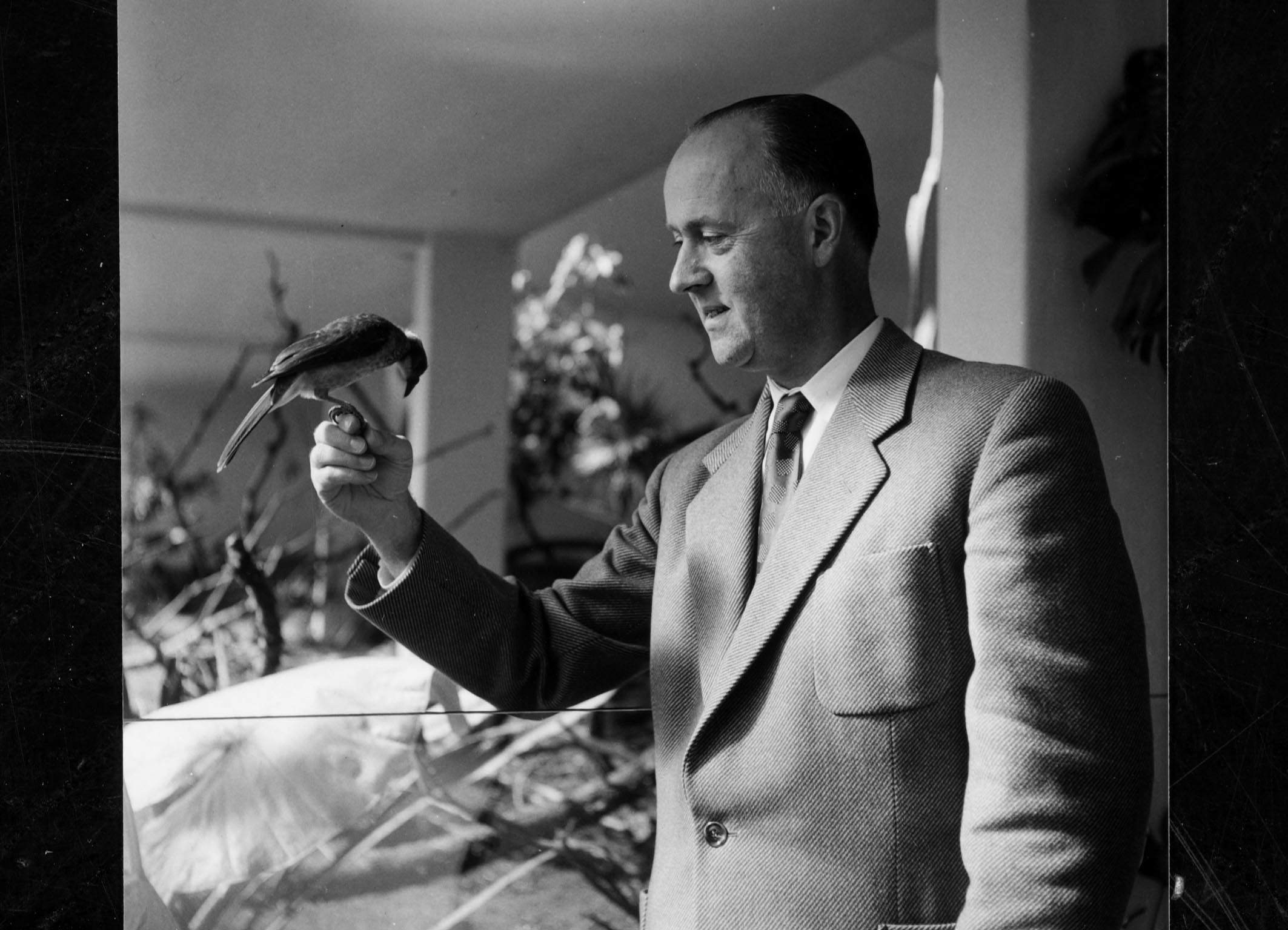 hediger_heini2_2.jpg