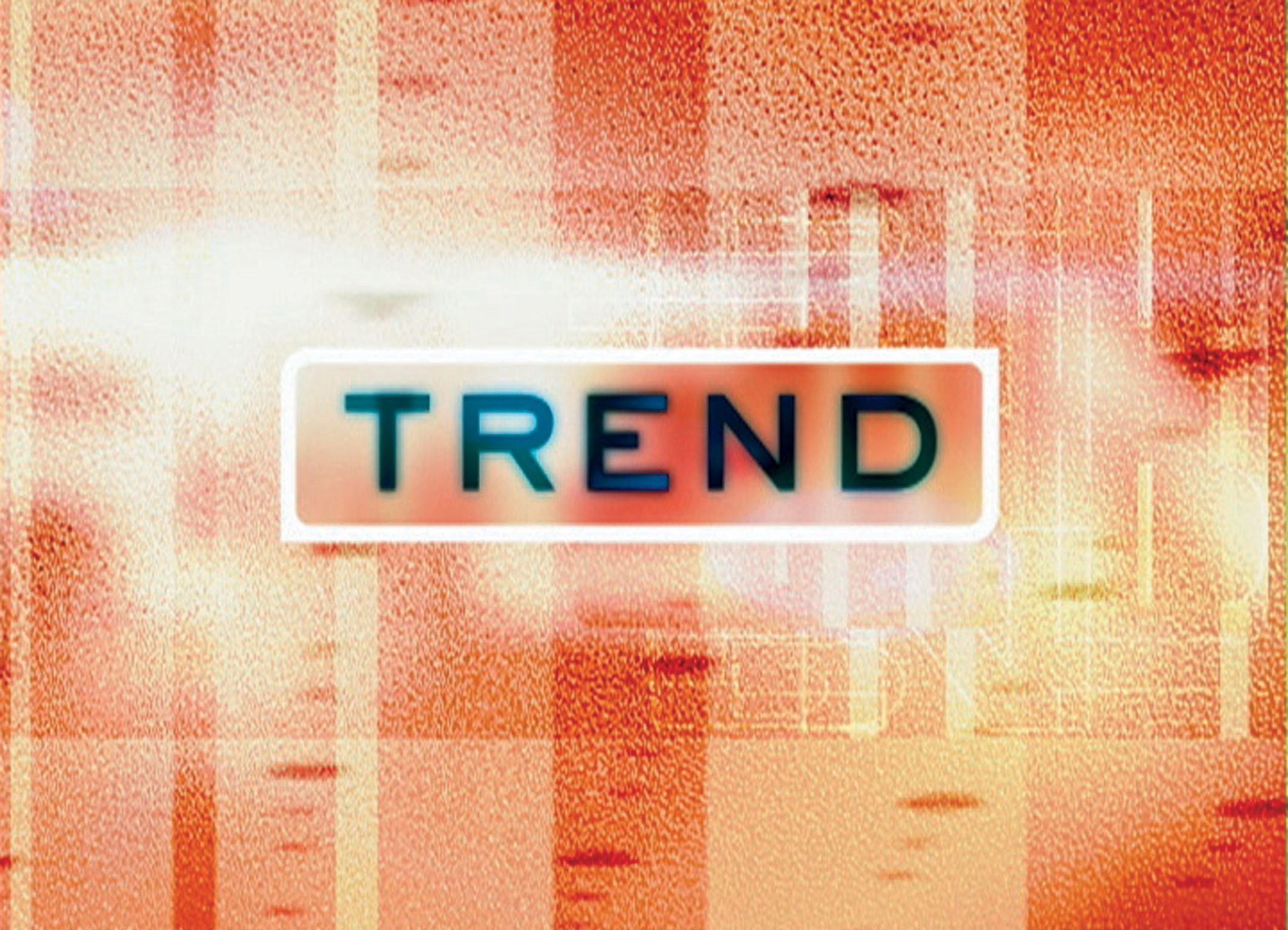 trend_signet_5.jpg