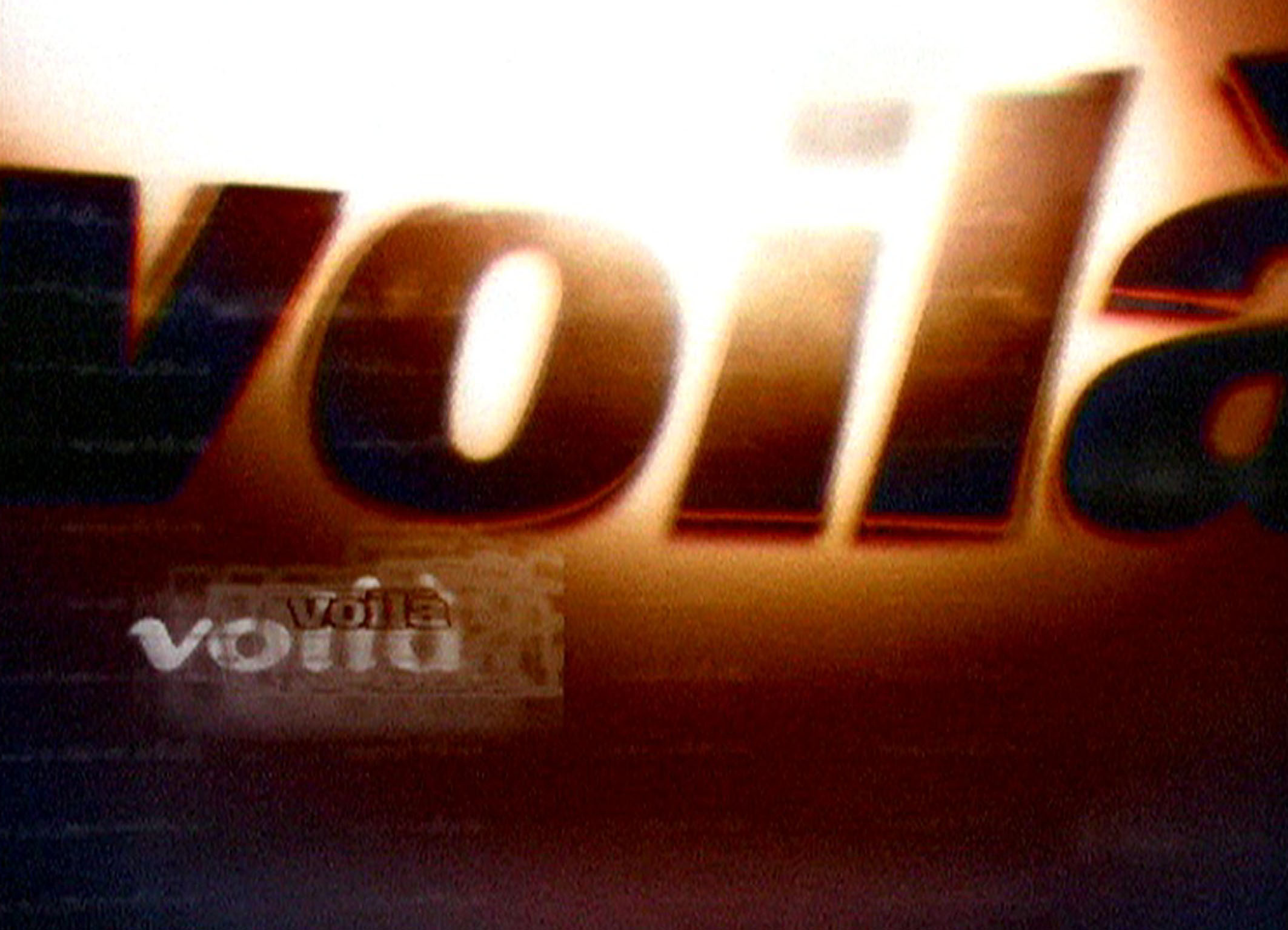 voila_logo1_2.jpg