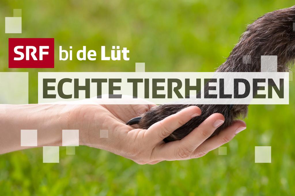 «SRF Bi De Lüt – Echte Tierhelden»: Start Der Neuen Vierten Staffel ...