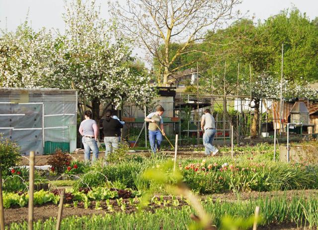 Unser Garten Eden Geschichten aus dem Schrebergarten Gartenarbeit im Schrebergarten