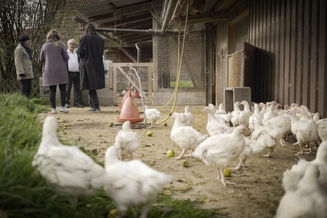 Team F - für eine nachhaltigere Zukunft Folge 1 Burgdorf Team F erfährt mehr über die Hühnerzucht in der Region: Martin Locher (M+M , Hühnerzüchter)Florence Fischer, Barbara Eisl, Ernestyna Orlowska
