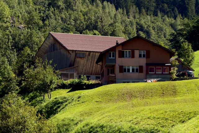 SRF DOK: Schicksal einer Bergbauernfamilie Seit vier Generationen bewirtschaftet die Familie Epp schon den Bauernhof oberhalb von Bristen im Kanton Uri.