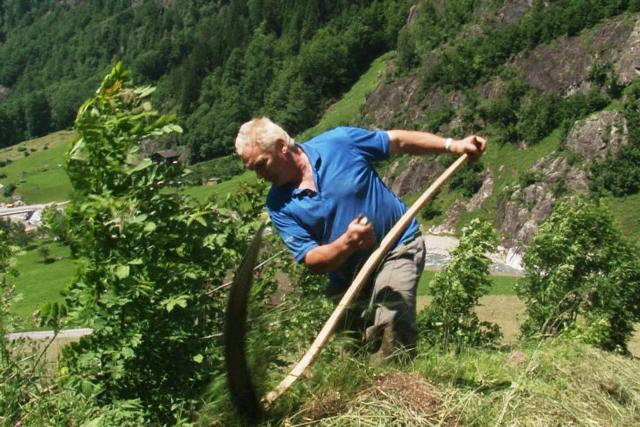 SRF DOK: Schicksal einer Bergbauernfamilie Für die Schwerstarbeit im steilen Gelände ruinierte Bergbauer Sepp Epp seine Gesundheit.