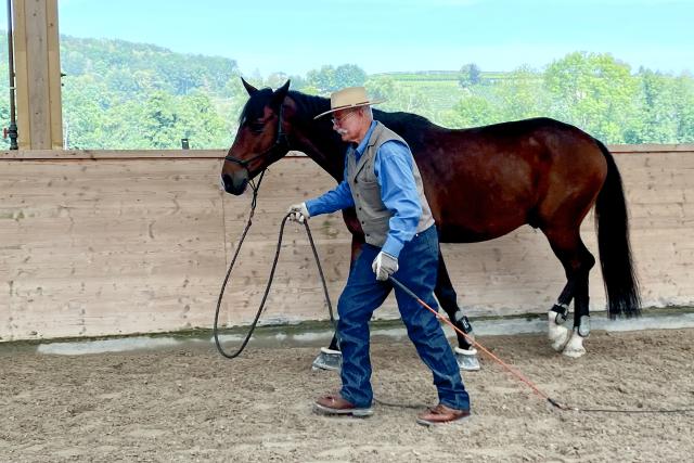 SRF bi de Lüt – Echte Tierhelden Pferdeflüsterer Berni Zambail mit Voltigierpferd Bico. 2022