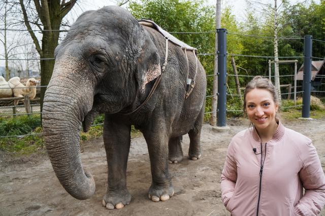 Anna erfüllt Wünsche Moderatorin Anna Zöllig und Elefant Ceylon überraschten die 9-jährige Emna. 2022