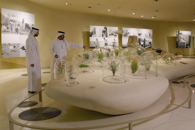 SRF DOK Katar – Perlen im Sand Gespräch mit einem Beduinen über essbare Pflanzen in der Wüste von Katar.