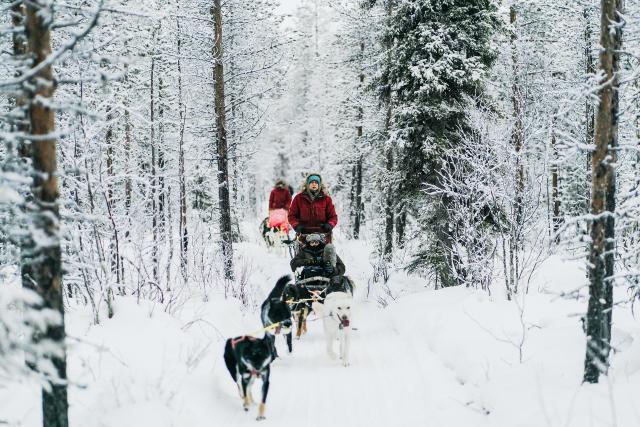 ReporterSilvias Leben mit ParkinsonDie an Parkinson erkrankte Silvia Lerch, unterwegs mit ihren Schlittenhunden, in der DOK- Serie «Abenteuer Lappland.Copyright: SRF/Jaakko Posti