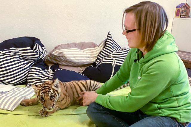 Auf und davonSchweizer Auswanderer – Wiedersehen in Deutschland Folge 2Alexandra Taetz mit ihrem 13 Wochen alten Tigerbaby.2023Copyright: SRF