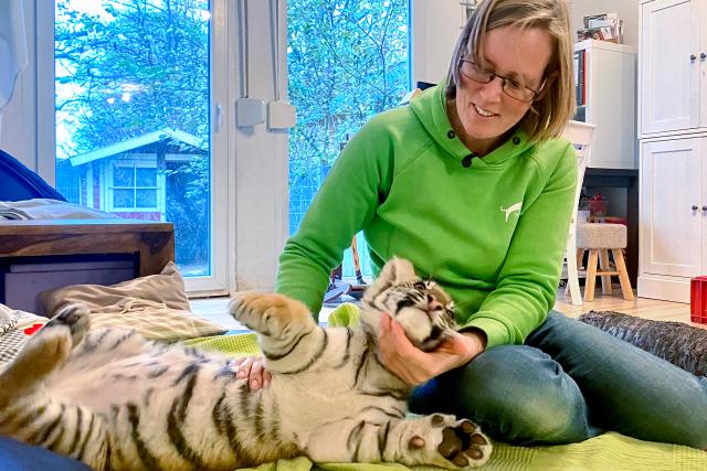 Auf und davonSchweizer Auswanderer – Wiedersehen in Deutschland Folge 2Alexandra Taetz mit ihrem 13 Wochen alten Tigerbaby.2023Copyright: SRF