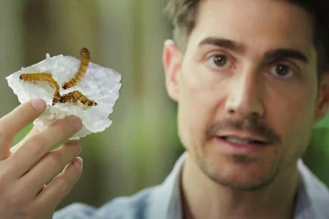 EinsteinProblem Plastikmüll – Fünf Lösungsansätze für unser KunststoffproblemTobias Müller hält plastikfressende Würmer.Copyright: SRF