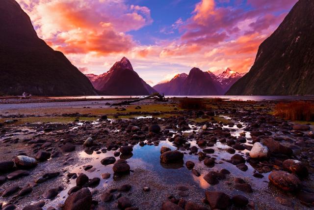 SRF DOKWildes Neuseeland – Kampf ums ParadiesDer Milford Sound ist eine von Neuseelands berühmtesten Naturikonen. Copyright: SRF/Doclights NDR Naturfilm & BBC/Tom Walker