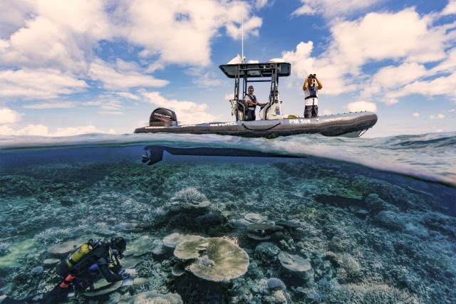SRF DOKDie Wächter des Great Barrier Reef – Die MeeresgigantenDas Forschungsteam hält Ausschau nach den Meeresriesen, die sie auf die Fährte der Meeresströmungen bringen.Copyright: SRF/ARTE