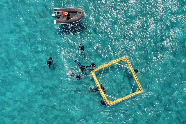 SRF DOKDie Wächter des Great Barrier Reef – Die KorallenEin australisches Team aus Rangern und Wissenschaftlern hat beschlossen, alles zu tun, um das Riff zu retten.Copyright: SRF/ARTE