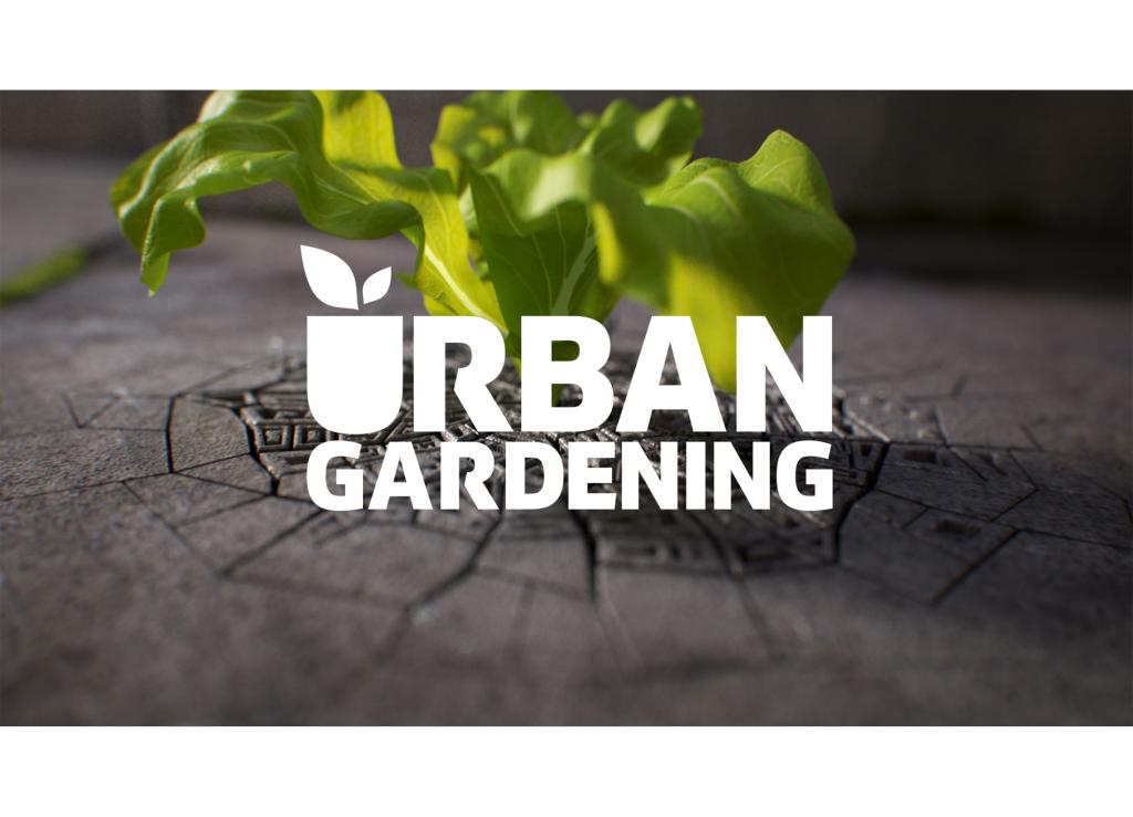 «Urban Gardening» Der Garten erobert die Stadt zurück Medienportal SRF