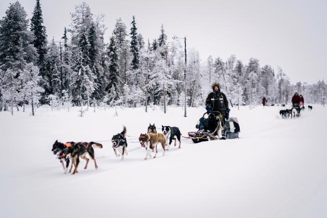 DOK - Abenteuer Lappland: Die Husky-Tour des Lebens Das Team unterwegs im grössten Sumpfgebiet Europas