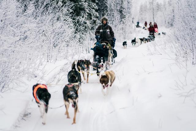 DOK - Abenteuer Lappland: Die Husky-Tour des Lebens Das Team unterwegs in der Weite Lapplands